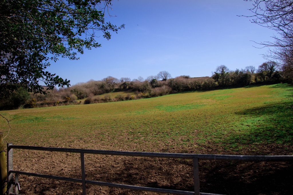 View across paddocks at The Oaks Bodmin